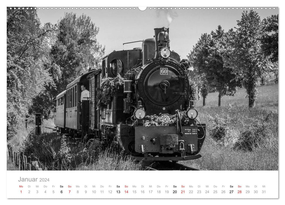 Steam locomotive Bieberlies in Herscheid-Hüinghausen (CALVENDO Premium Wall Calendar 2024) 