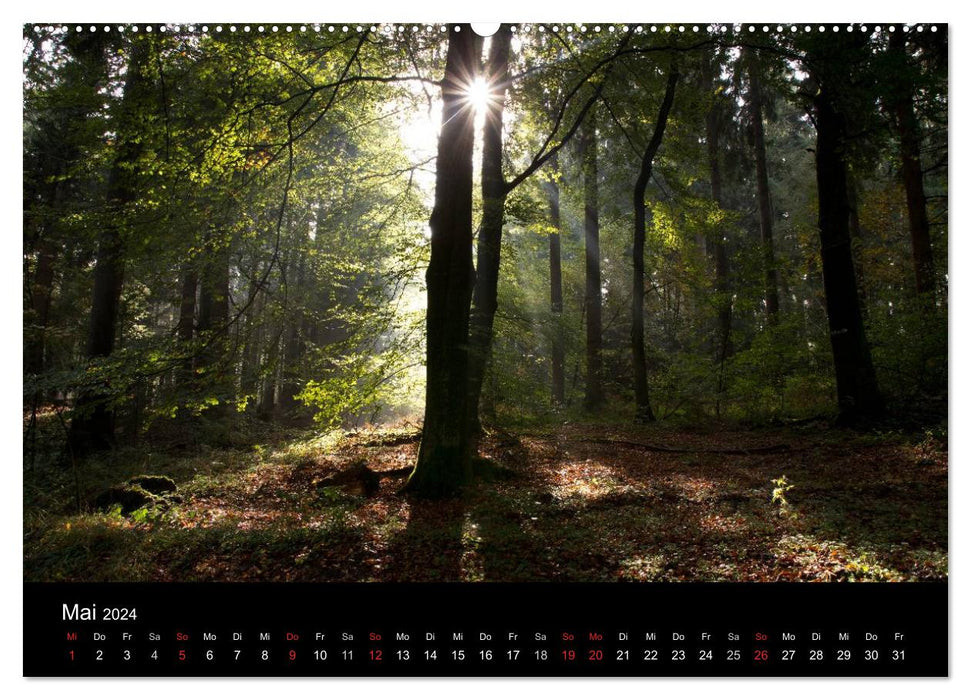 Bad Laer, health resort in the Teutoburg Forest (CALVENDO Premium Wall Calendar 2024) 