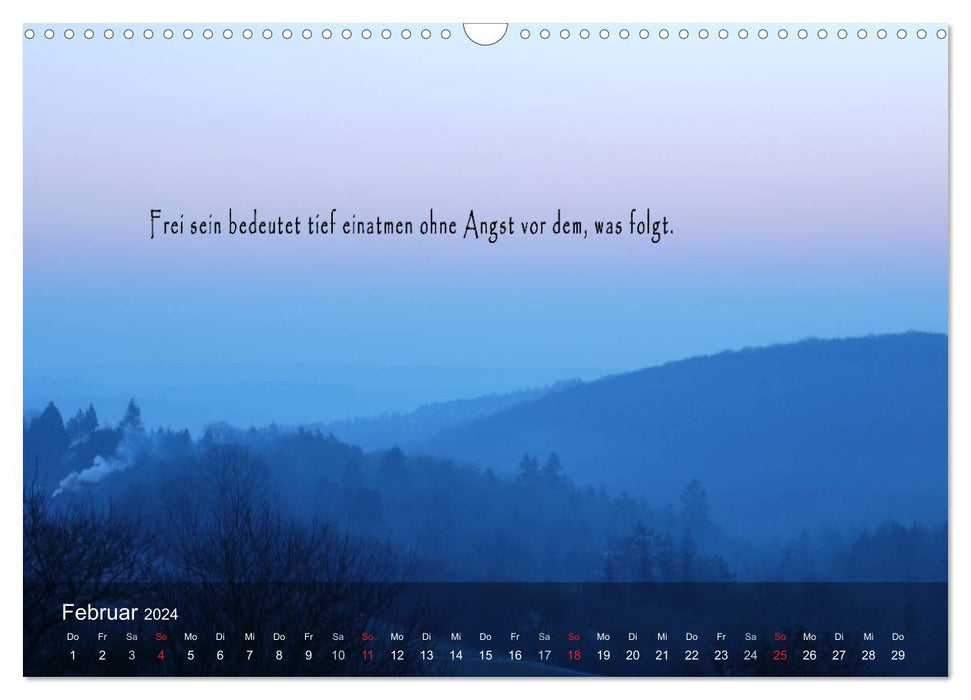 beautiful moments of light (CALVENDO wall calendar 2024) 