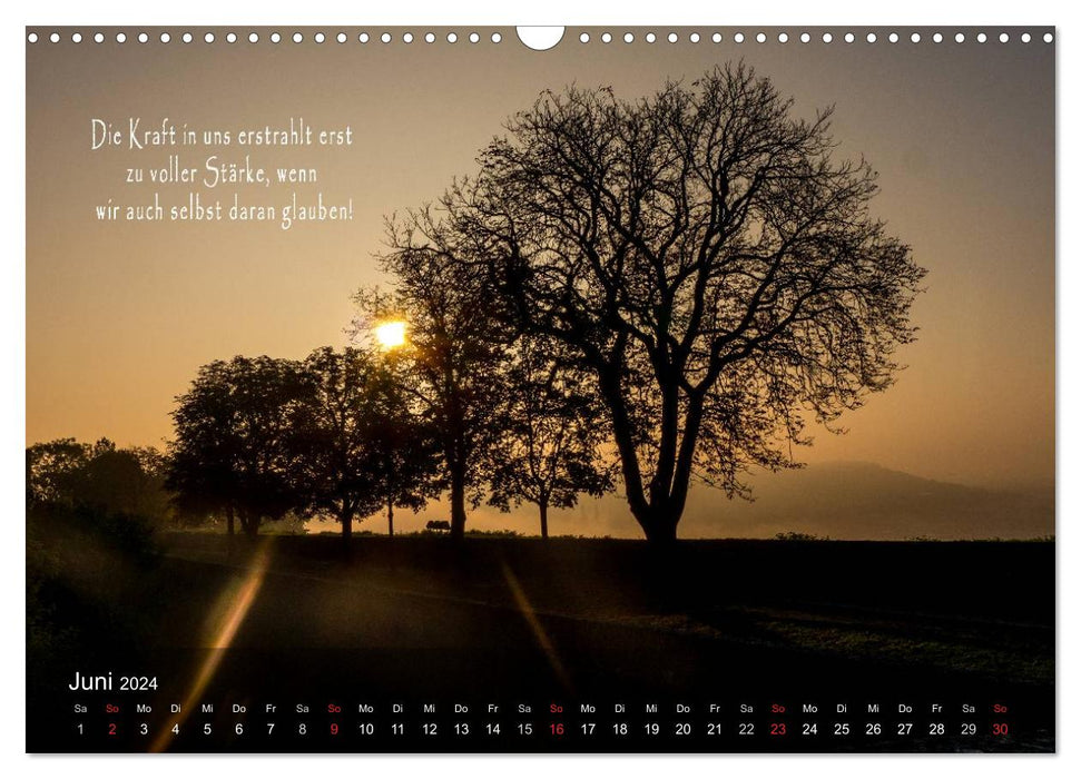 beautiful moments of light (CALVENDO wall calendar 2024) 