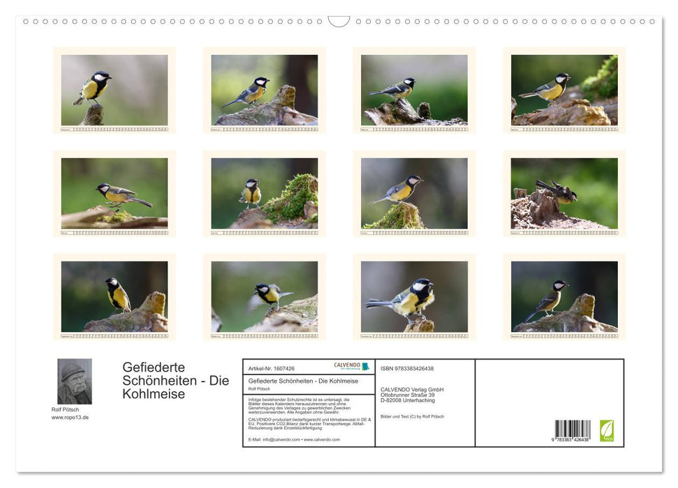 Feathered Beauties - The Great Tit (CALVENDO Wall Calendar 2024) 