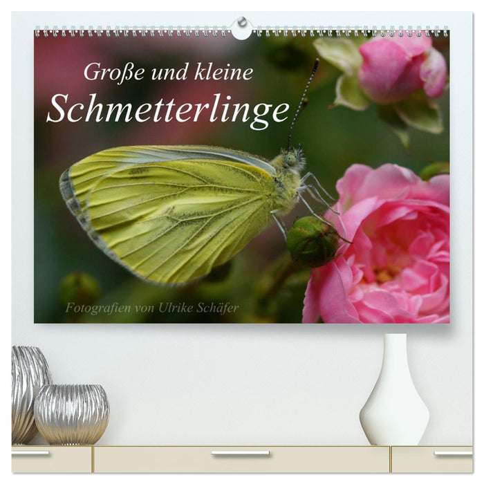 Large and small butterflies (CALVENDO Premium Wall Calendar 2024) 