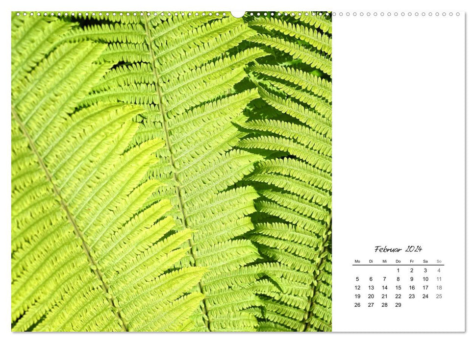 Leaf art (CALVENDO Premium Wall Calendar 2024) 