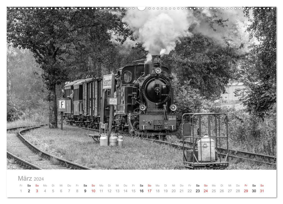 Dampflok Bieberlies in Herscheid-Hüinghausen (CALVENDO Wandkalender 2024)