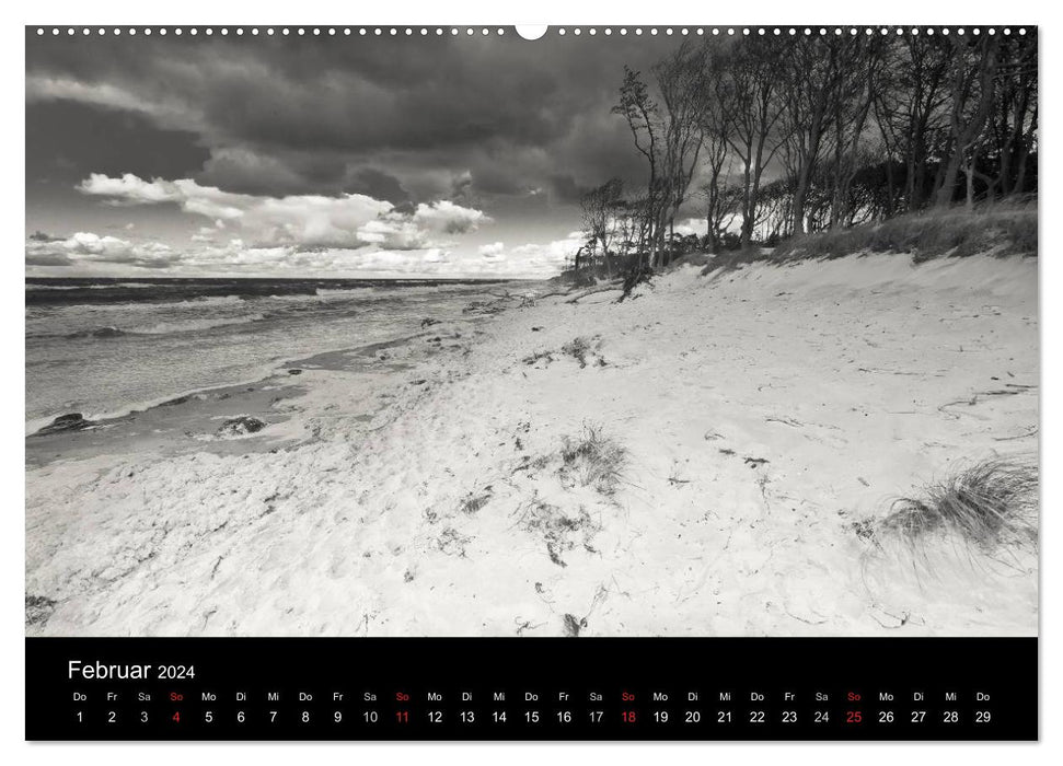 Beach walk on the Baltic Sea (CALVENDO Premium Wall Calendar 2024) 