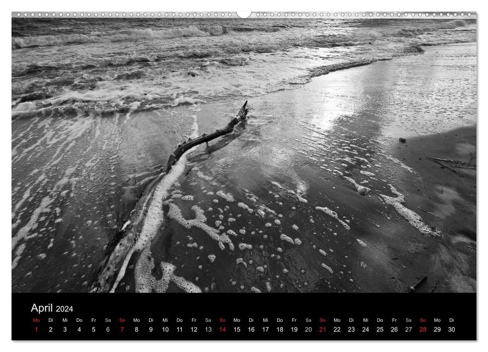 Beach walk on the Baltic Sea (CALVENDO Premium Wall Calendar 2024) 