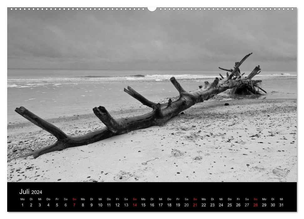 Strandspaziergang an der Ostsee (CALVENDO Premium Wandkalender 2024)