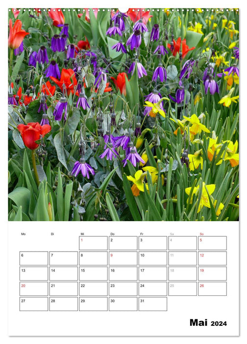 Garteneindrücke (CALVENDO Wandkalender 2024)
