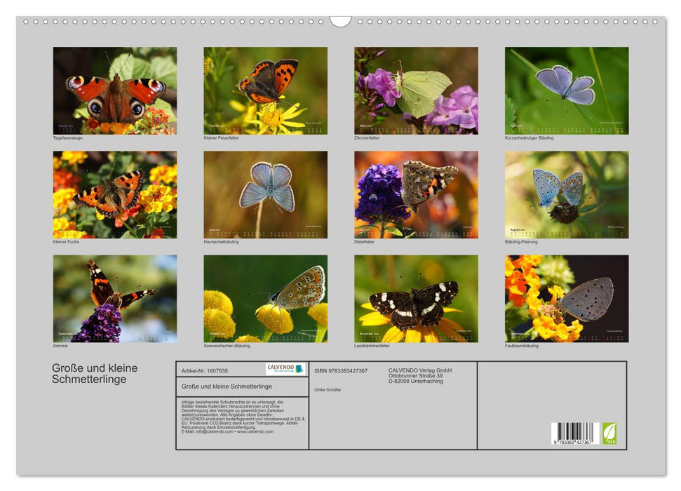 Large and small butterflies (CALVENDO wall calendar 2024) 