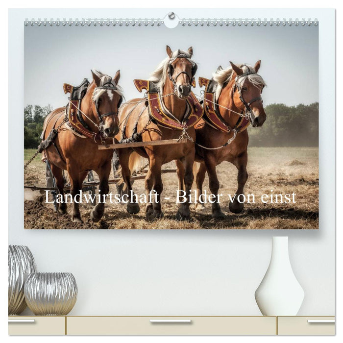 Agriculture - Pictures from yesteryear (CALVENDO Premium Wall Calendar 2024) 
