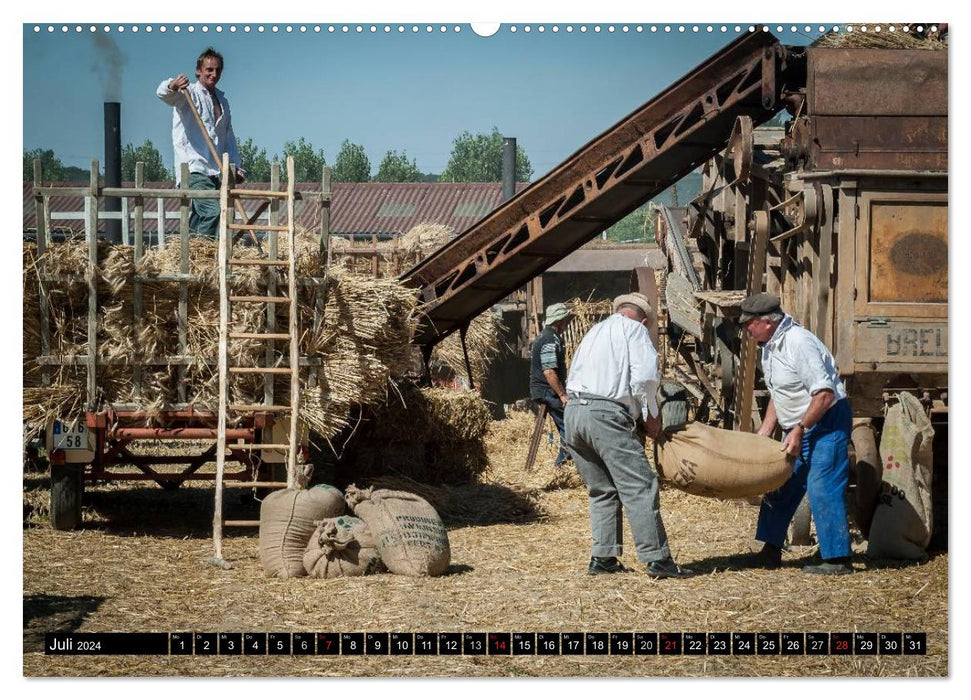Agriculture - Pictures from yesteryear (CALVENDO Premium Wall Calendar 2024) 