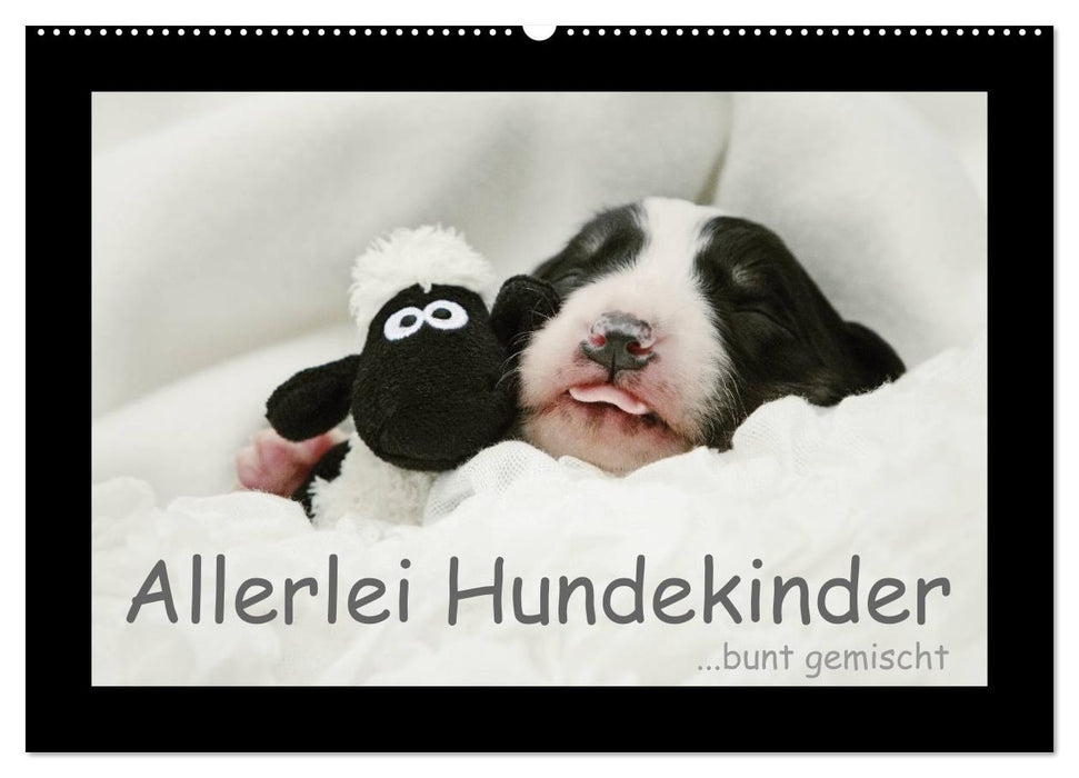 All kinds of dog children (CALVENDO wall calendar 2024) 