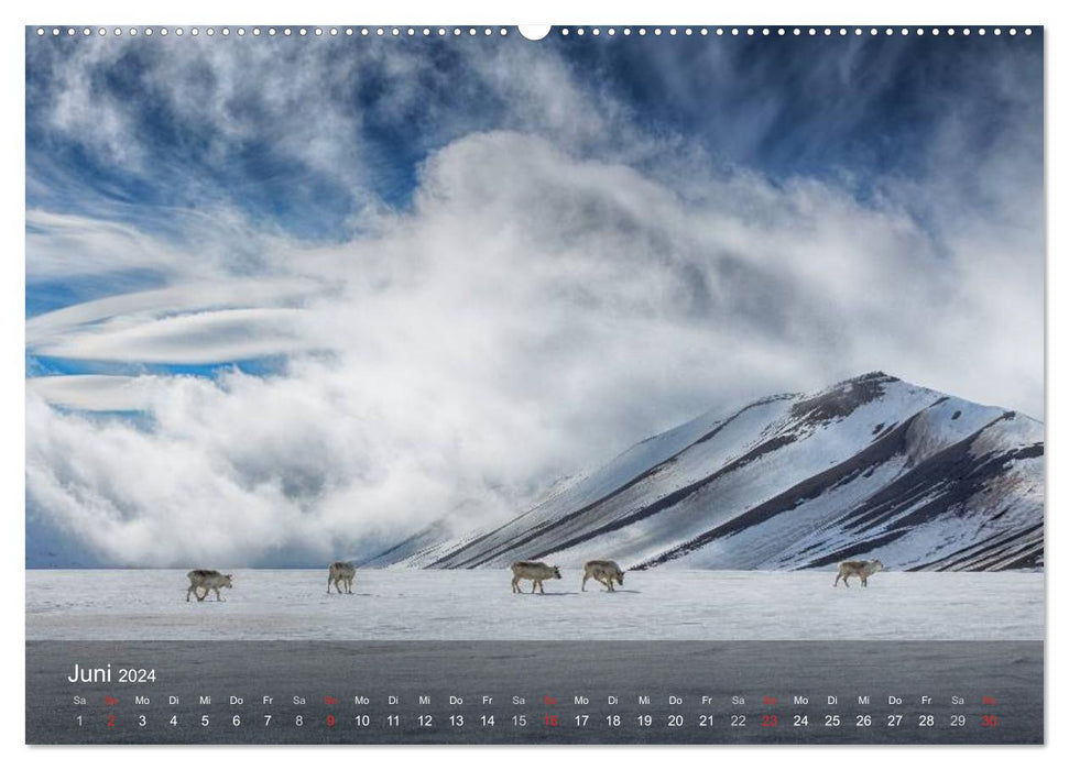 Spitsbergen - Impressions from the Arctic (CALVENDO Premium Wall Calendar 2024) 