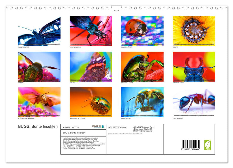 BUGS, colorful insects (CALVENDO wall calendar 2024) 