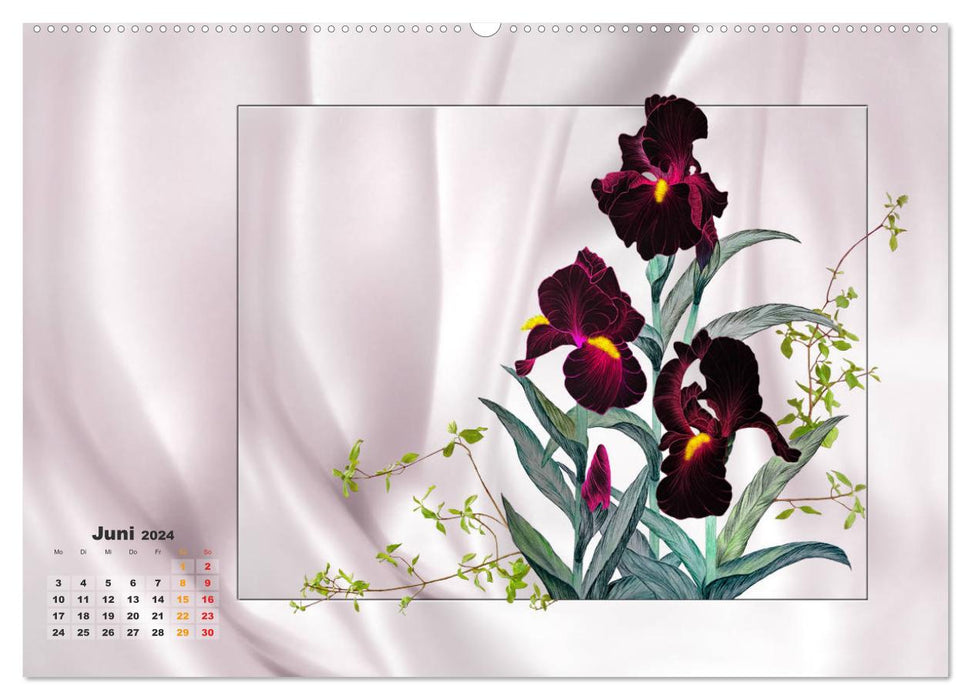 Irisblüten Zeichnungen (CALVENDO Premium Wandkalender 2024)