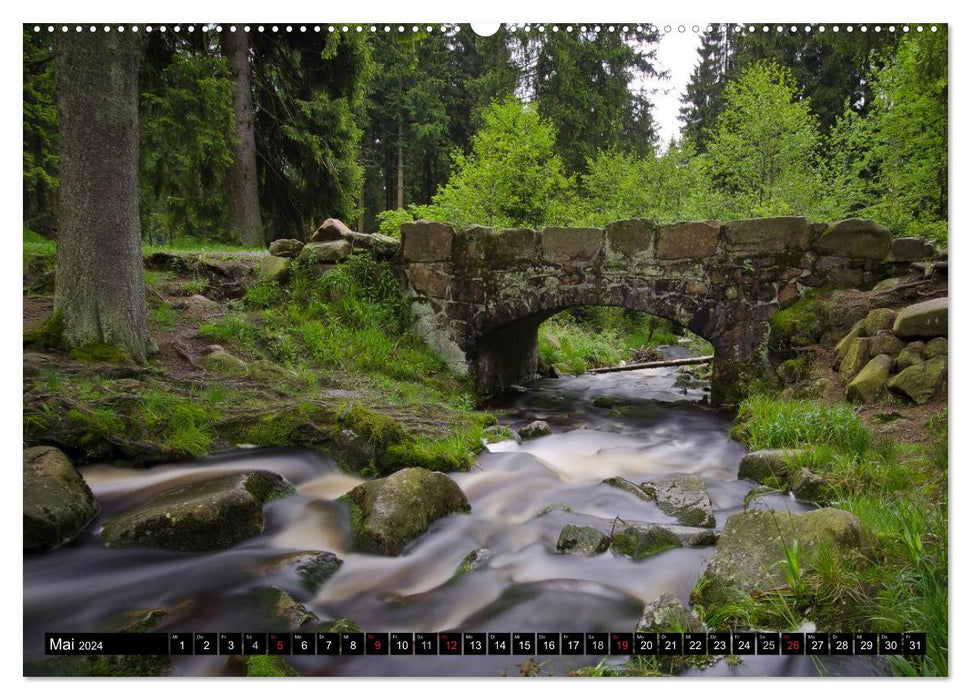 Zauberhafter Harz (CALVENDO Premium Wandkalender 2024)