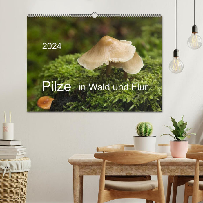 Mushrooms in the forest and fields (CALVENDO wall calendar 2024) 