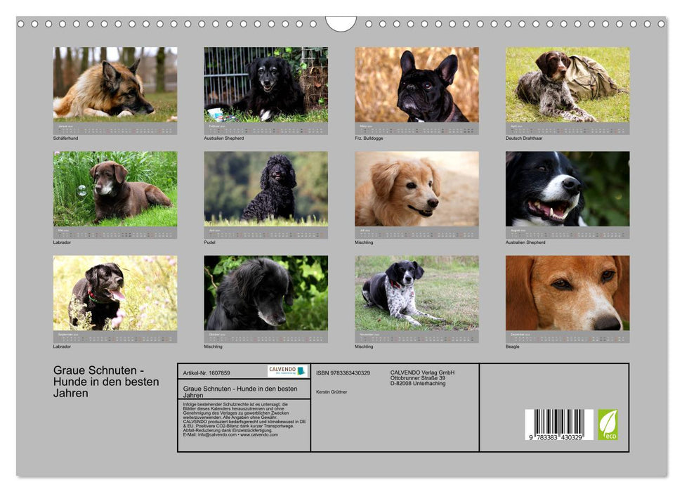 Gray snouts - dogs in their best years (CALVENDO wall calendar 2024) 