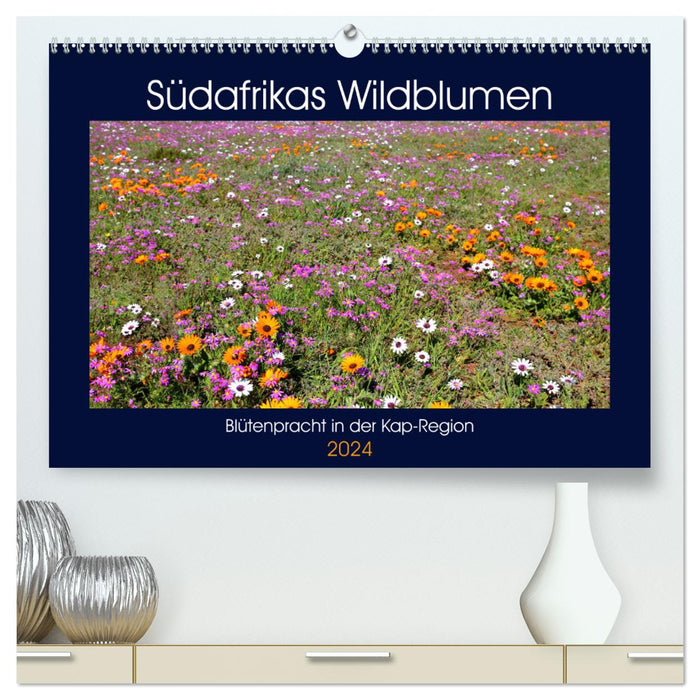 Südafrikas Wildblumen - Blütenpracht in der Kap-Region (CALVENDO Premium Wandkalender 2024)