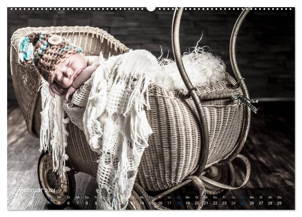 Baby - sweet dreams (CALVENDO Premium Wall Calendar 2024) 
