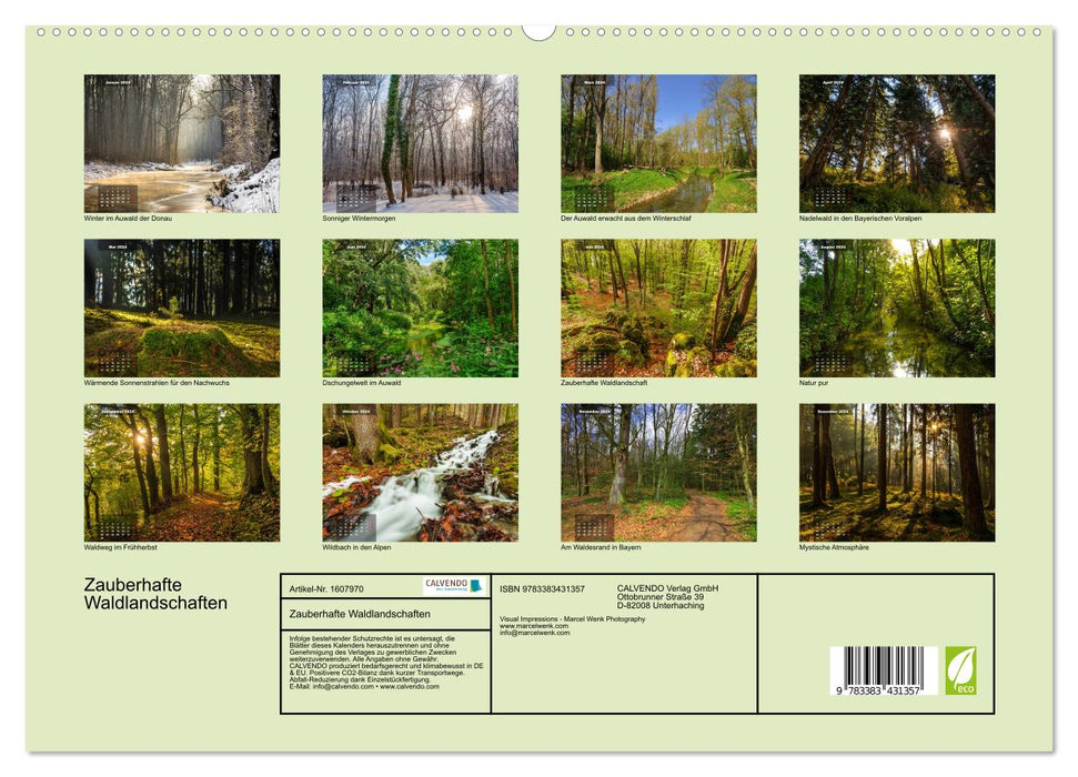 Paysages forestiers enchanteurs (Calendrier mural CALVENDO Premium 2024) 