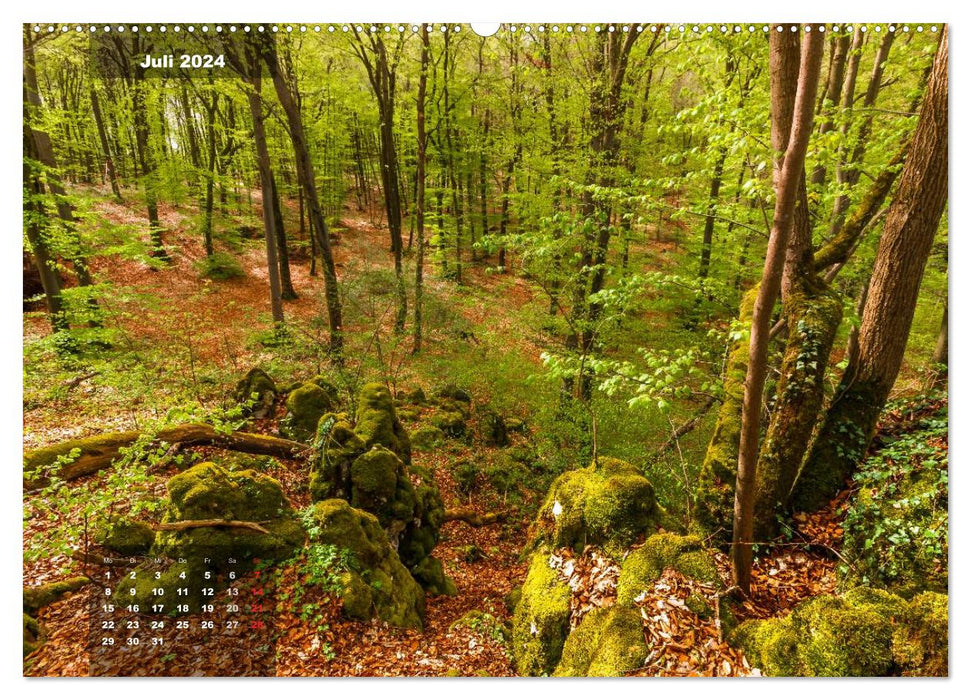 Paysages forestiers enchanteurs (Calendrier mural CALVENDO Premium 2024) 