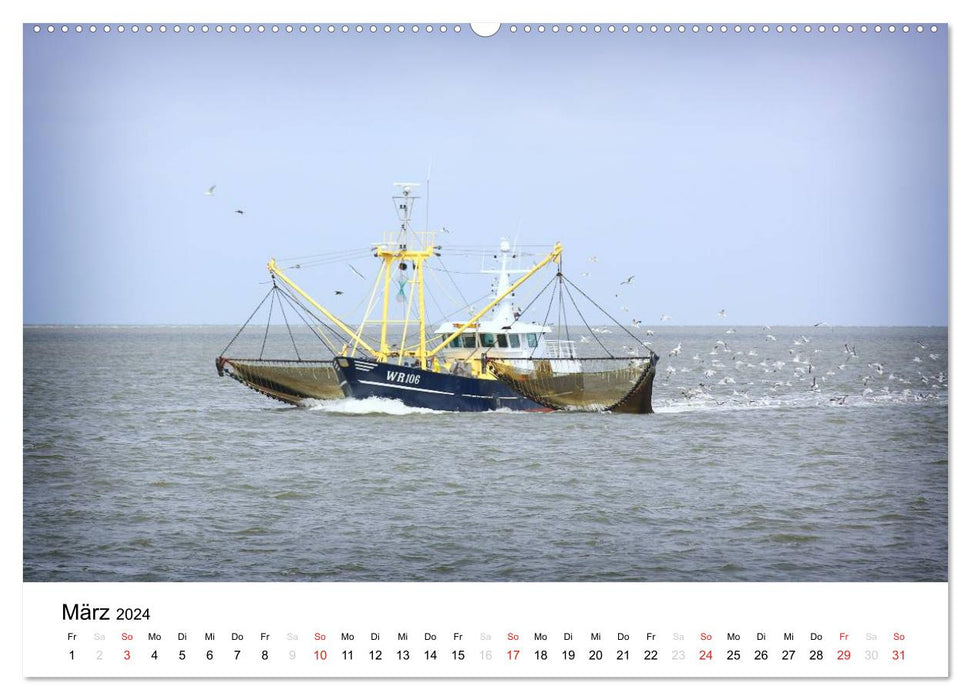 schönes Texel (CALVENDO Premium Wandkalender 2024)