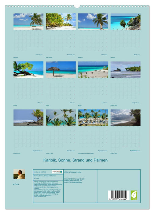 Caribbean - sun, beach and palm trees (CALVENDO Premium Wall Calendar 2024) 