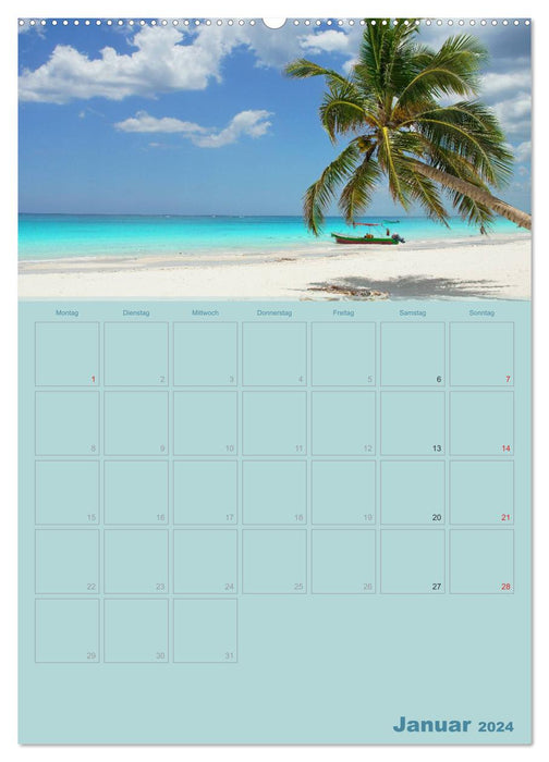 Caribbean - sun, beach and palm trees (CALVENDO Premium Wall Calendar 2024) 