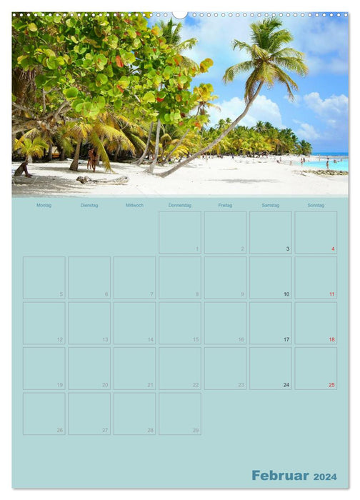 Caraïbes - soleil, plage et palmiers (Calendrier mural CALVENDO Premium 2024) 