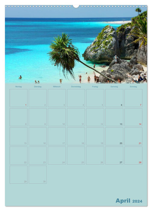 Caraïbes - soleil, plage et palmiers (Calendrier mural CALVENDO Premium 2024) 