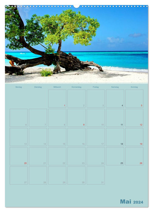 Karibik - Sonne, Strand und Palmen (CALVENDO Premium Wandkalender 2024)