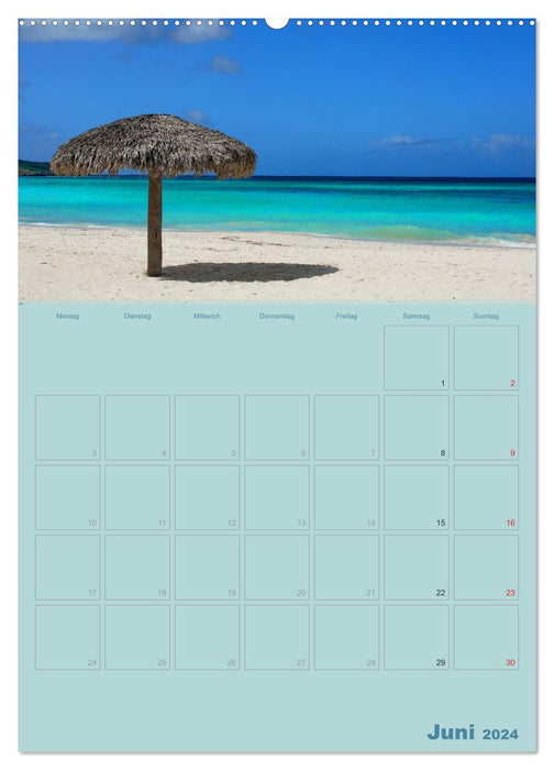 Caribbean - sun, beach and palm trees (CALVENDO Premium Wall Calendar 2024) 