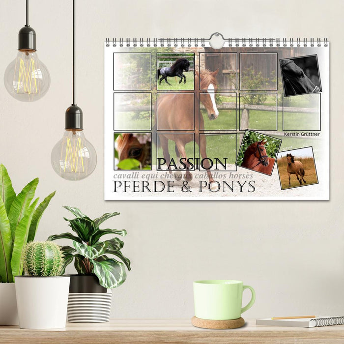 Passion - Pferde und Ponys (CALVENDO Wandkalender 2024)