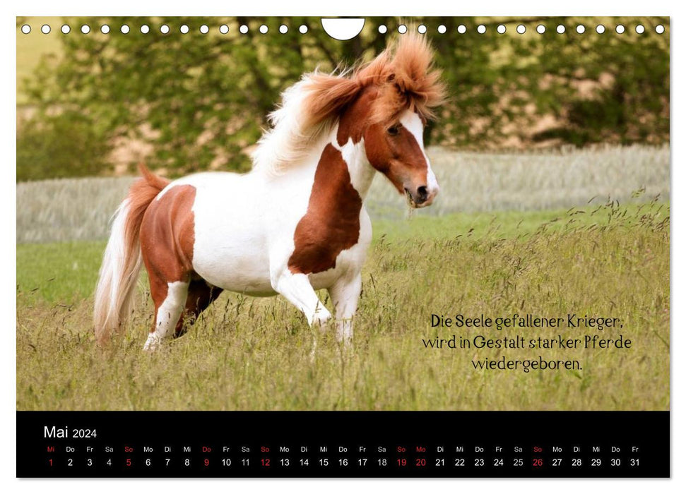 Passion - Horses and Ponies (CALVENDO Wall Calendar 2024) 