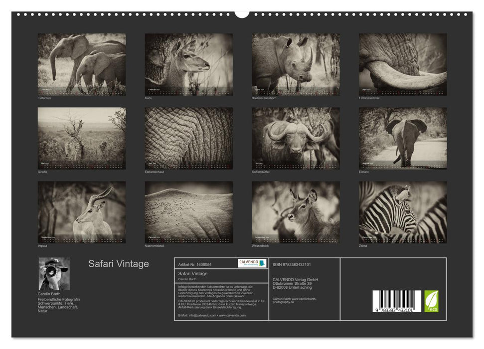 Safari Vintage (CALVENDO Premium Wandkalender 2024)