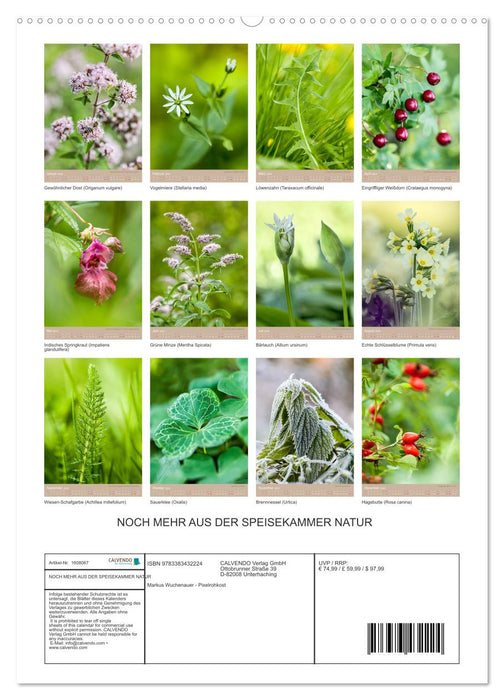 EVEN MORE FROM NATURE’S PANTRY (CALVENDO Premium Wall Calendar 2024) 