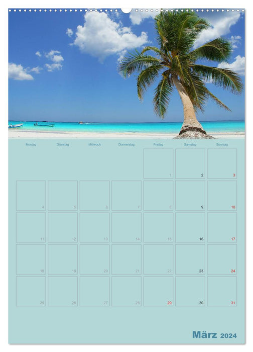 Karibik - Sonne, Strand und Palmen (CALVENDO Wandkalender 2024)