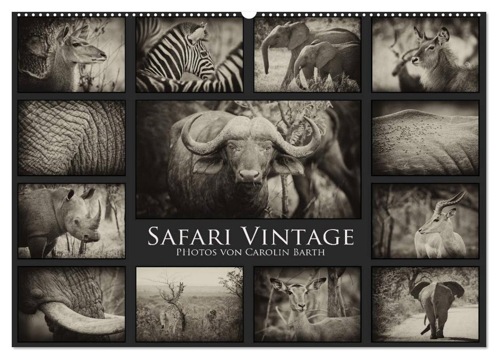 Safari Vintage (CALVENDO Wandkalender 2024)