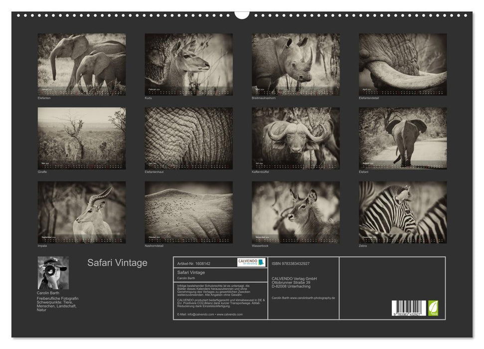 Safari Vintage (CALVENDO wall calendar 2024) 