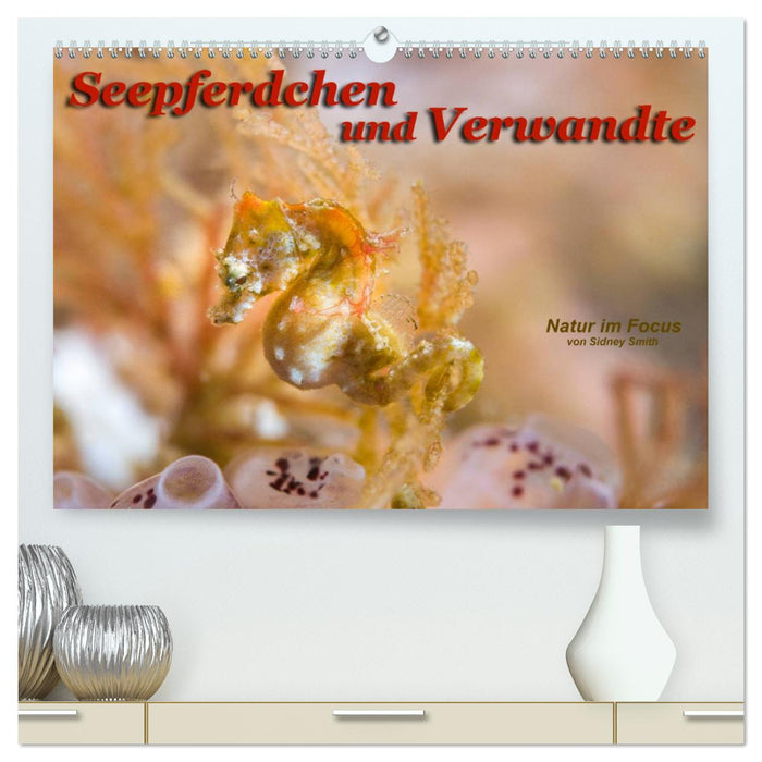 Seahorses and relatives (CALVENDO Premium Wall Calendar 2024) 