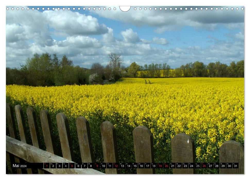 Mein buntes Mecklenburg (CALVENDO Wandkalender 2024)