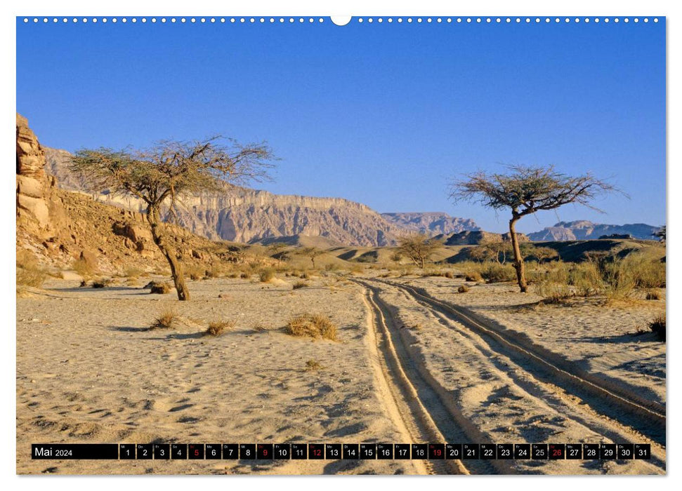 Sinai - landscape of rock and sand (CALVENDO Premium Wall Calendar 2024) 