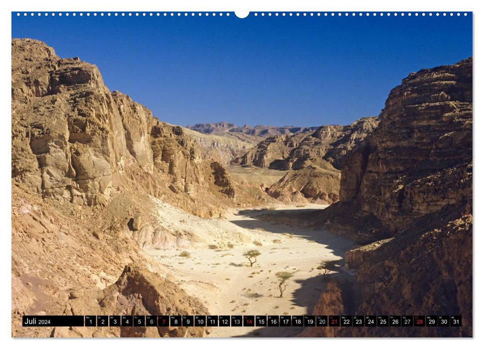 Sinai - landscape of rock and sand (CALVENDO Premium Wall Calendar 2024) 