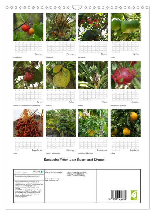 Exotic fruits on trees and bushes (CALVENDO wall calendar 2024) 