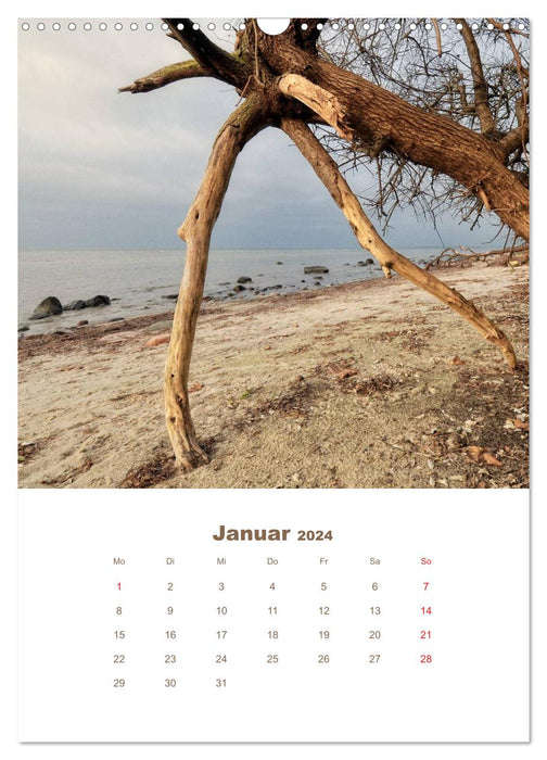 Baltic Sea Encounters (CALVENDO wall calendar 2024) 