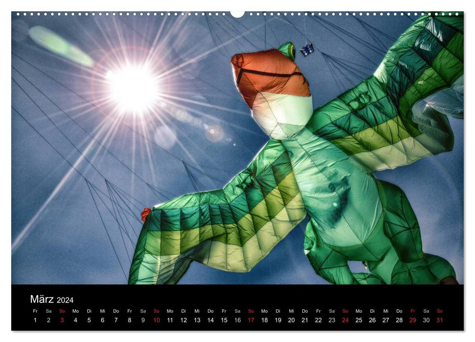 Dirk's Dragon World (CALVENDO Premium Wall Calendar 2024) 