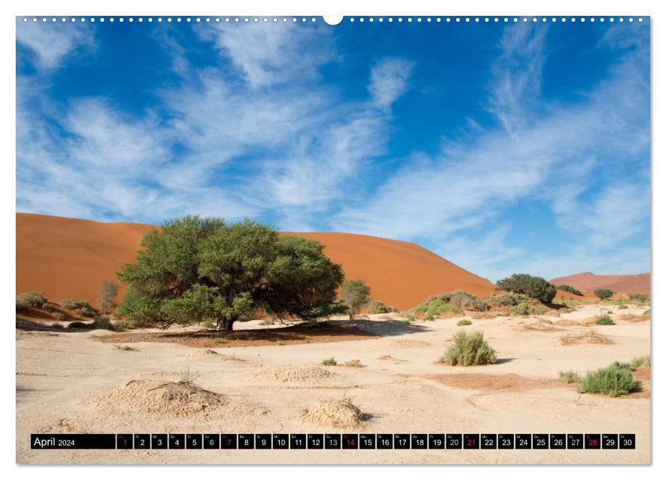 The Namib (CALVENDO Premium Wall Calendar 2024) 