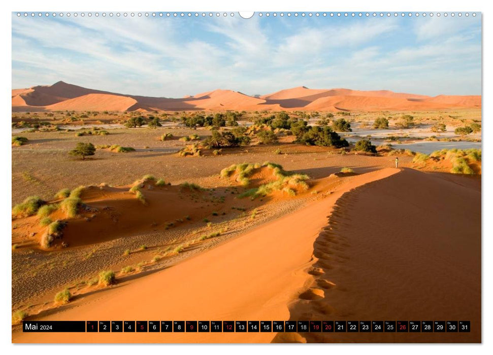 Die Namib (CALVENDO Premium Wandkalender 2024)