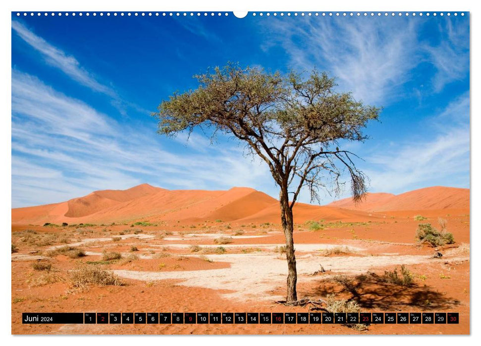 Die Namib (CALVENDO Premium Wandkalender 2024)